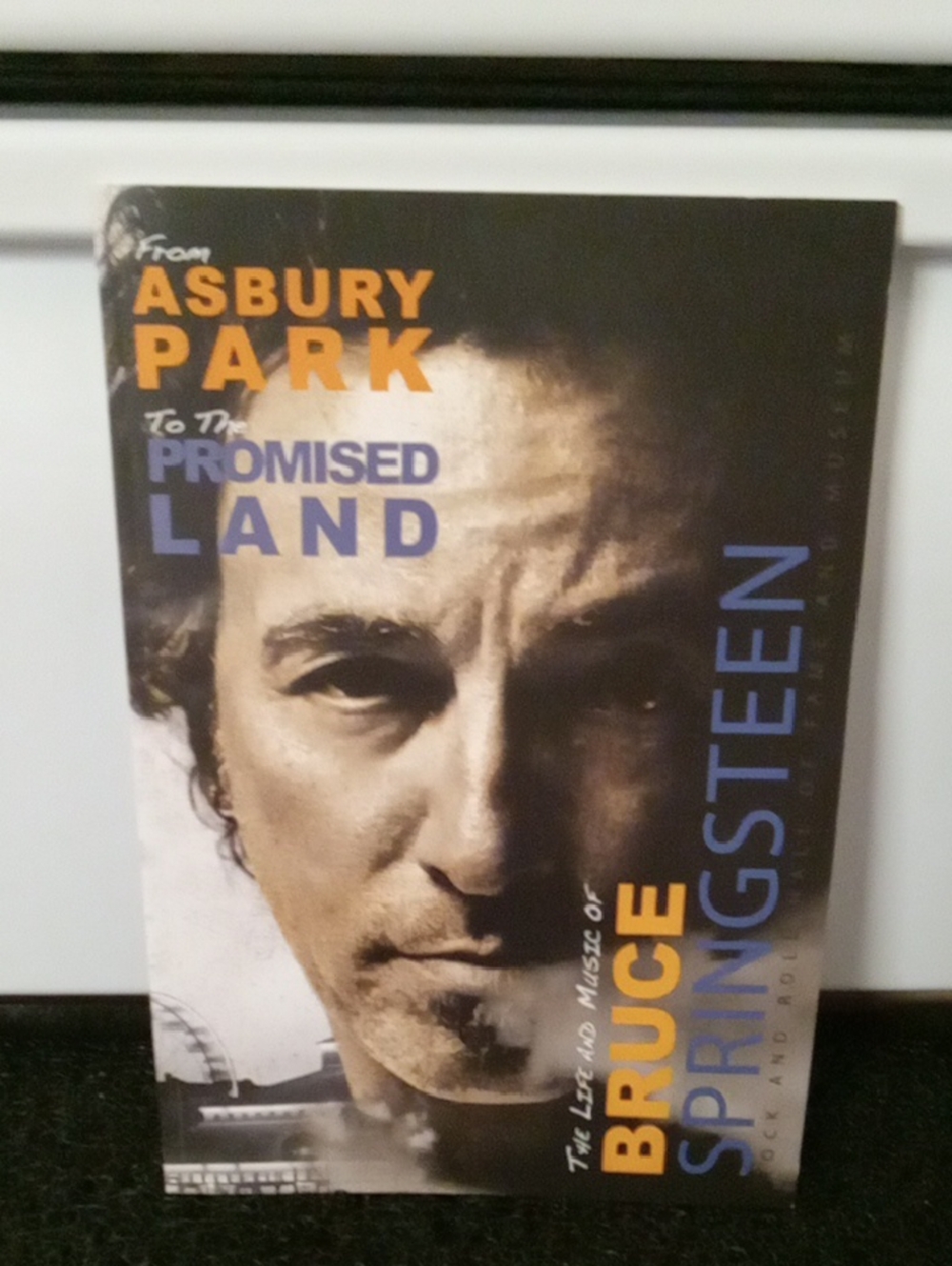 NWOT From Asbury Park To The Promised Land Bruce Springsteen Book